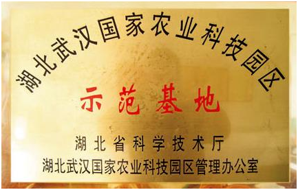 welcome-百乐博·(blb)官方网站
