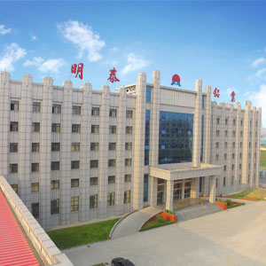 河南泰鸿新资料有限公司