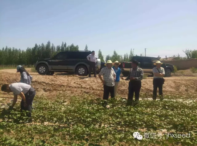 welcome-百乐博·(blb)官方网站